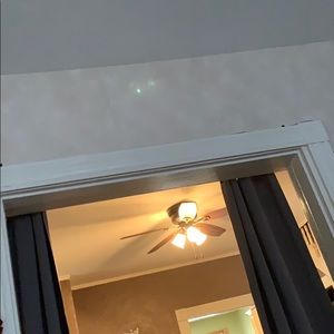 Meet your Posher, Freddy